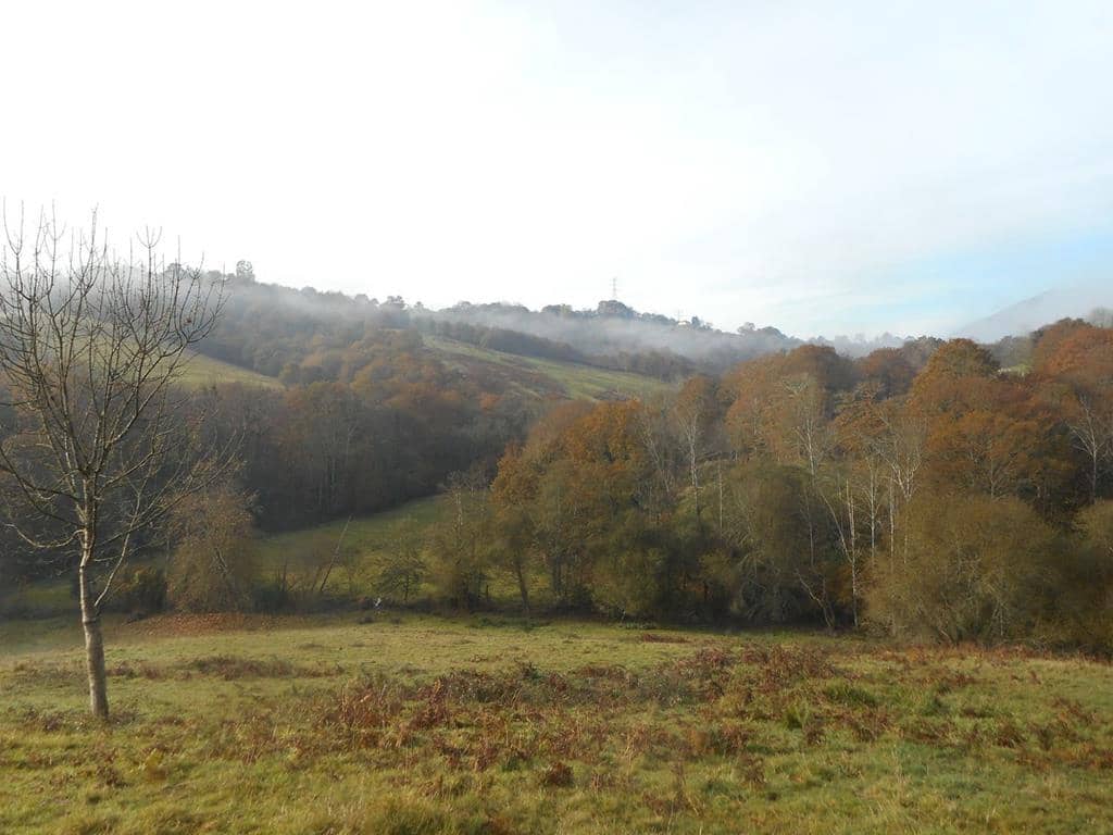 4 soverom Finca/Herregård til salgs i Pilona - € 495 000 (Ref: 7087265)