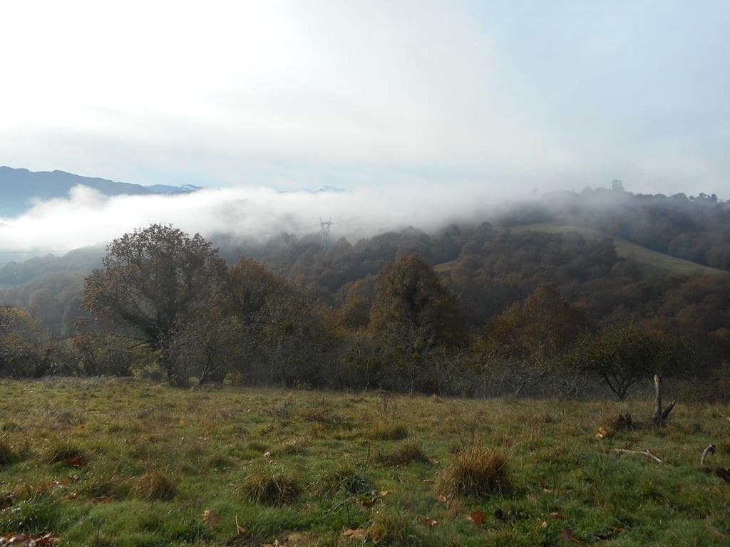 4 soverom Finca/Herregård til salgs i Pilona - € 495 000 (Ref: 7087265)