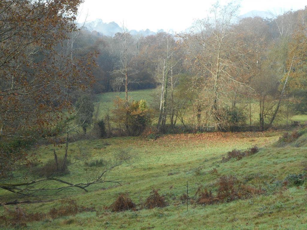 4 soverom Finca/Herregård til salgs i Pilona - € 495 000 (Ref: 7087265)