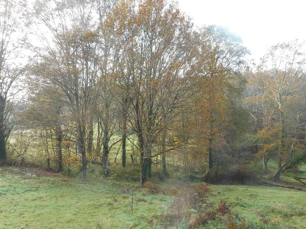 4 soverom Finca/Herregård til salgs i Pilona - € 495 000 (Ref: 7087265)