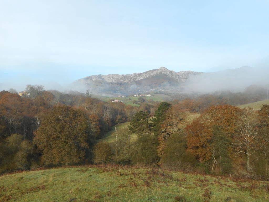 4 soverom Finca/Herregård til salgs i Pilona - € 495 000 (Ref: 7087265)