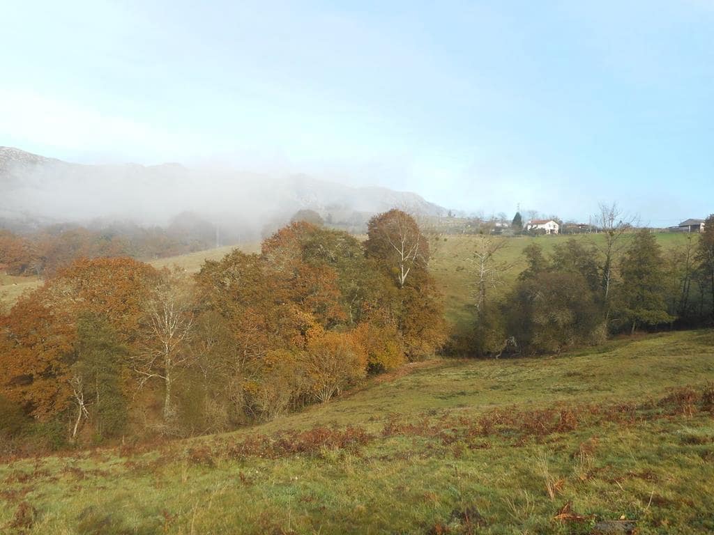 4 soverom Finca/Herregård til salgs i Pilona - € 495 000 (Ref: 7087265)