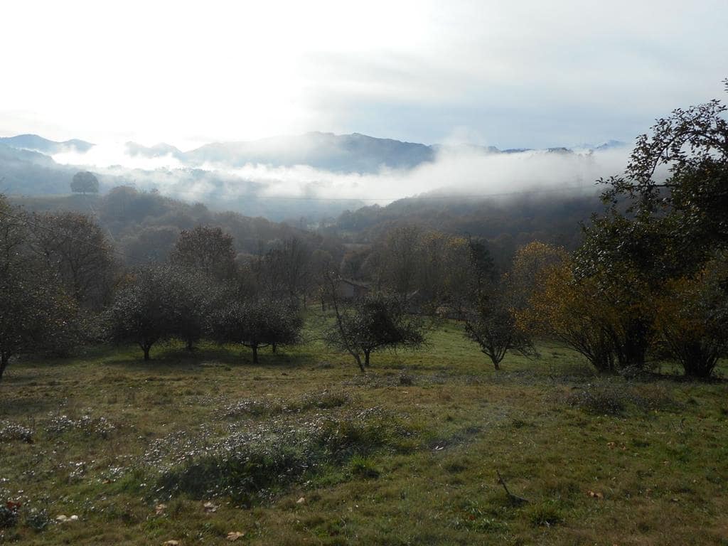 4 soverom Finca/Herregård til salgs i Pilona - € 495 000 (Ref: 7087265)