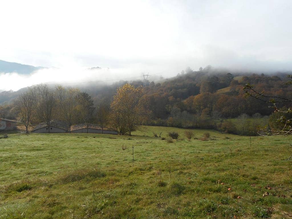 4 soverom Finca/Herregård til salgs i Pilona - € 495 000 (Ref: 7087265)