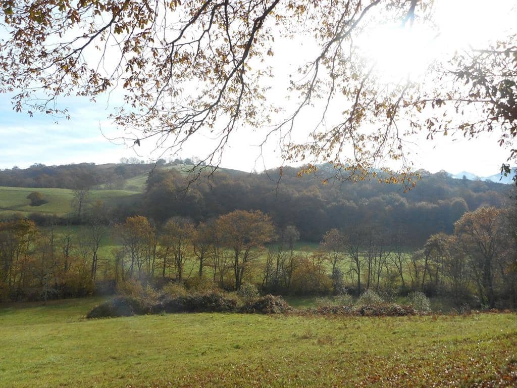 4 soverom Finca/Herregård til salgs i Pilona - € 495 000 (Ref: 7087265)