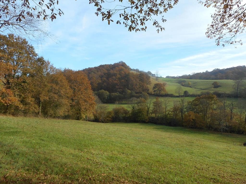 4 soverom Finca/Herregård til salgs i Pilona - € 495 000 (Ref: 7087265)