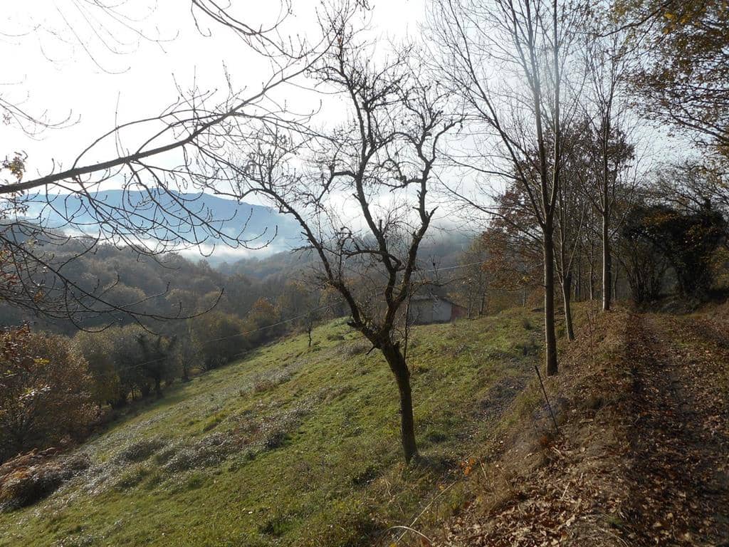 4 soverom Finca/Herregård til salgs i Pilona - € 495 000 (Ref: 7087265)