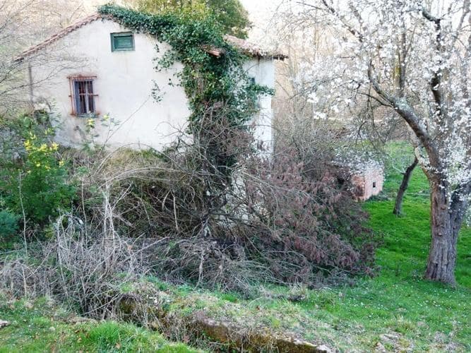 Finca/Landhuis te koop in Panes - € 98.000 (Ref: 725571)