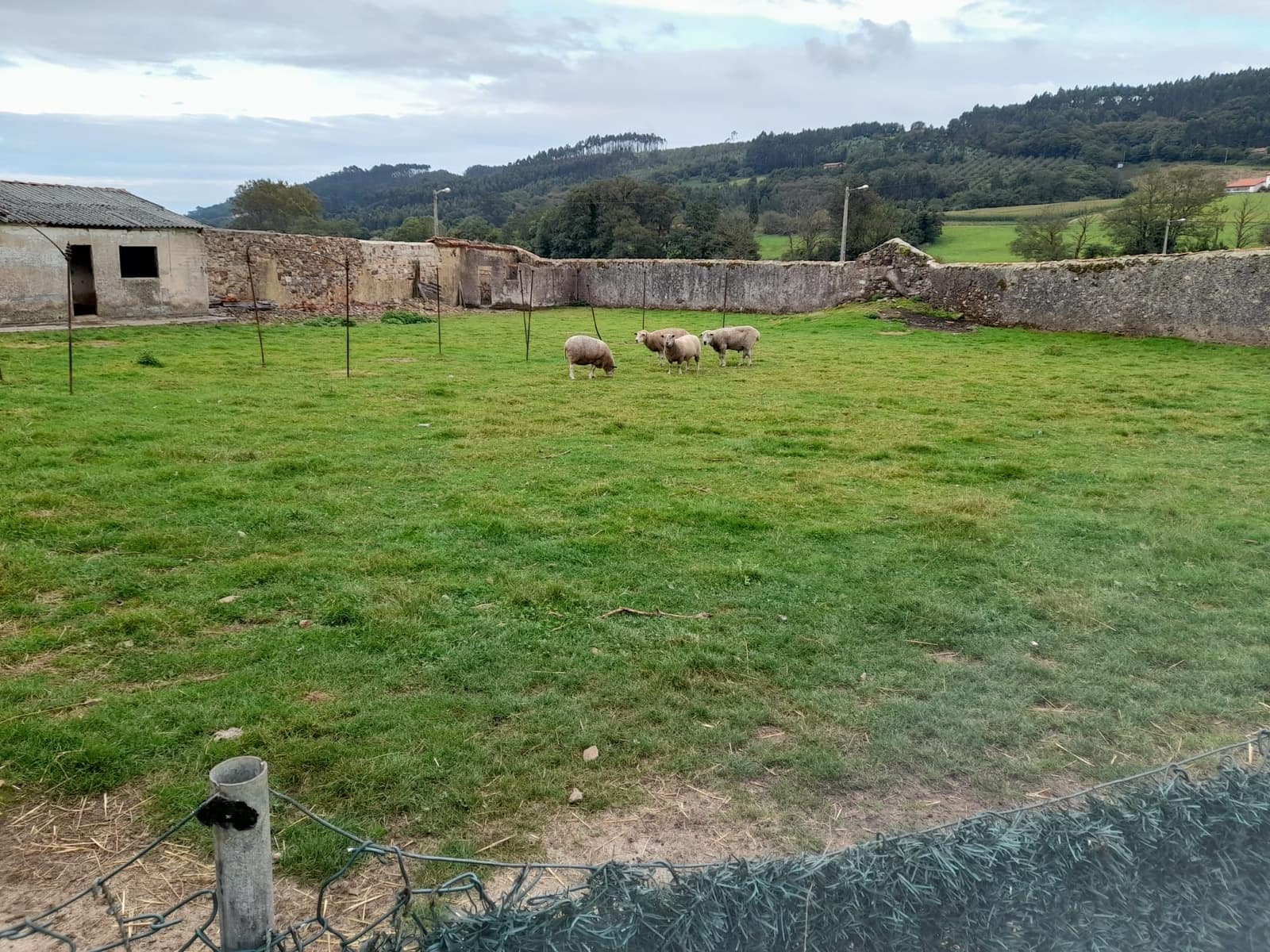 12 soveværelse Finca/Landehus til salg i Carreno - € 550.000 (Ref: 7377170)