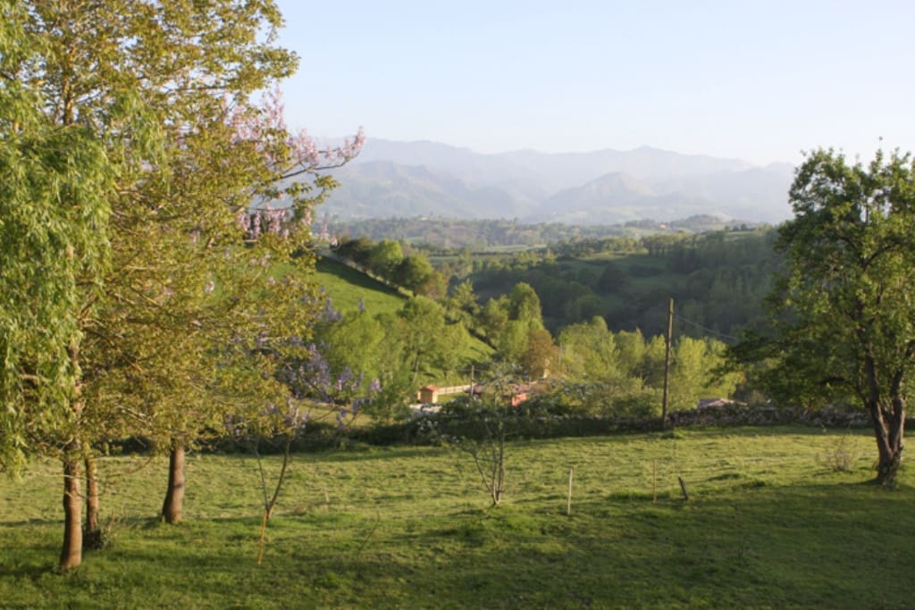 9 soveværelse Finca/Landehus til salg i Parres - € 900.000 (Ref: 7393940)