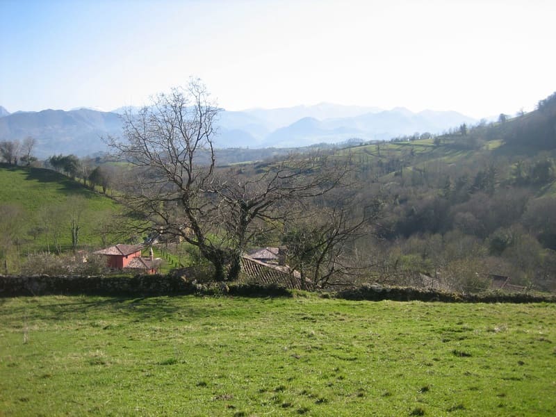 9 soveværelse Finca/Landehus til salg i Parres - € 900.000 (Ref: 7393940)