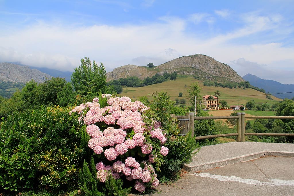 16 soveværelse Hotel til salg i Arriondas - € 750.000 (Ref: 7422649)