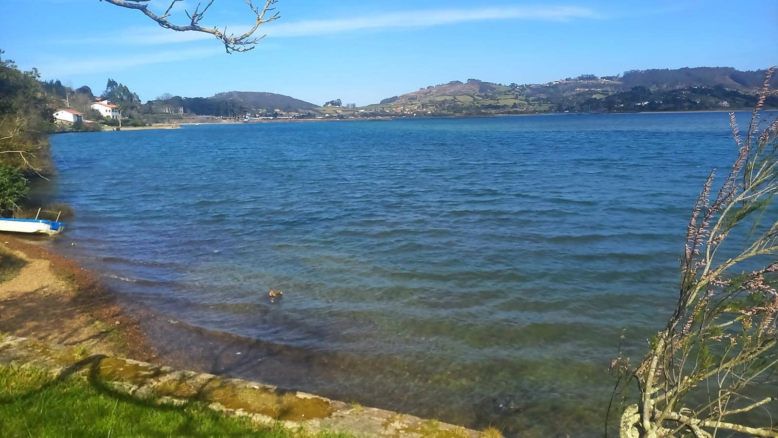 5 quarto Moradia para venda em Villaviciosa - 1 200 000 € (Ref: 7579732)