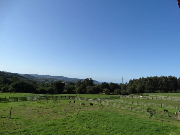 7 soverom Finca/Herregård til salgs i Colunga - € 699 000 (Ref: 7877086)