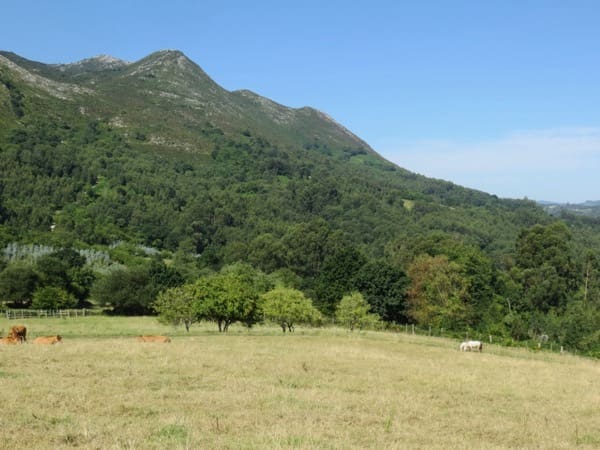 7 soverom Finca/Herregård til salgs i Colunga - € 699 000 (Ref: 7877086)