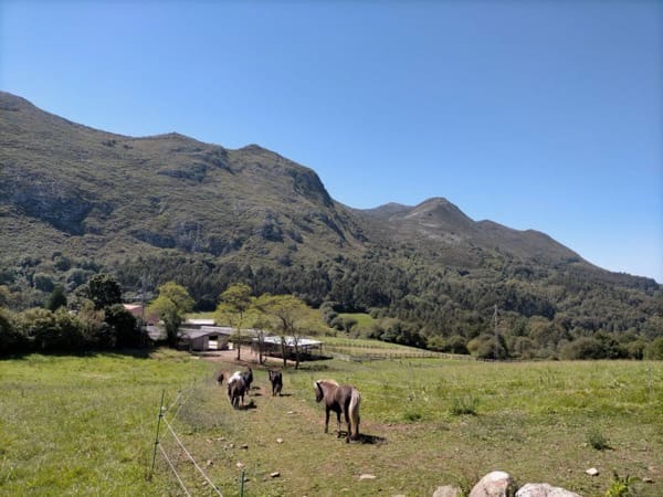 7 soveværelse Finca/Landehus til salg i Colunga - € 699.000 (Ref: 7877086)