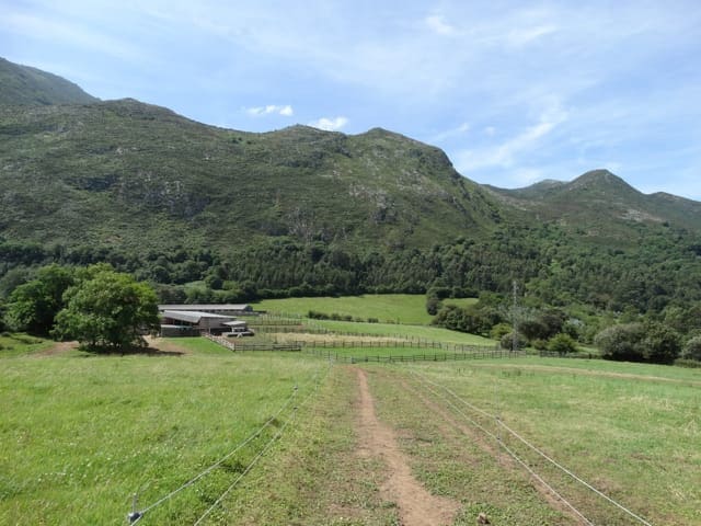 7 soverom Finca/Herregård til salgs i Colunga - € 699 000 (Ref: 7877086)