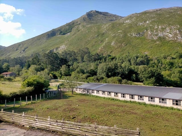 7 soveværelse Finca/Landehus til salg i Colunga - € 699.000 (Ref: 7877086)