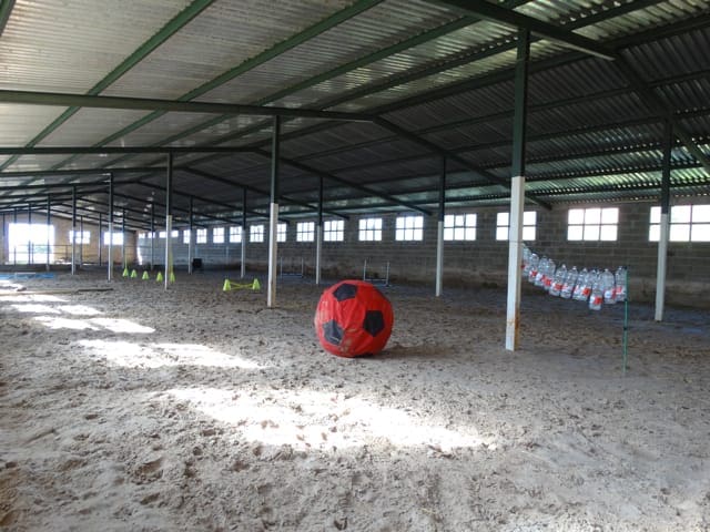 7 soverom Finca/Herregård til salgs i Colunga - € 699 000 (Ref: 7877086)