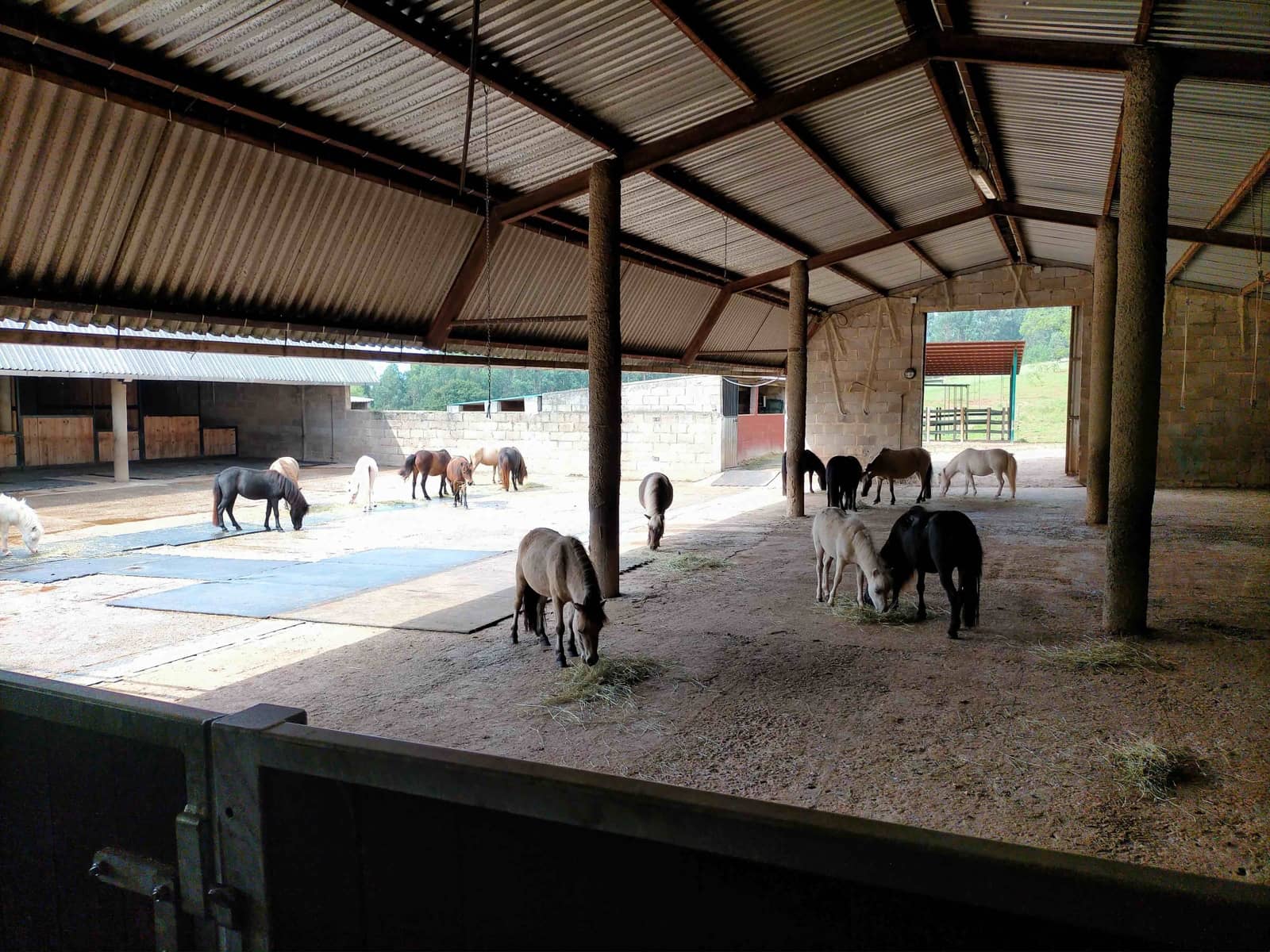 7 soverom Finca/Herregård til salgs i Colunga - € 699 000 (Ref: 7877086)