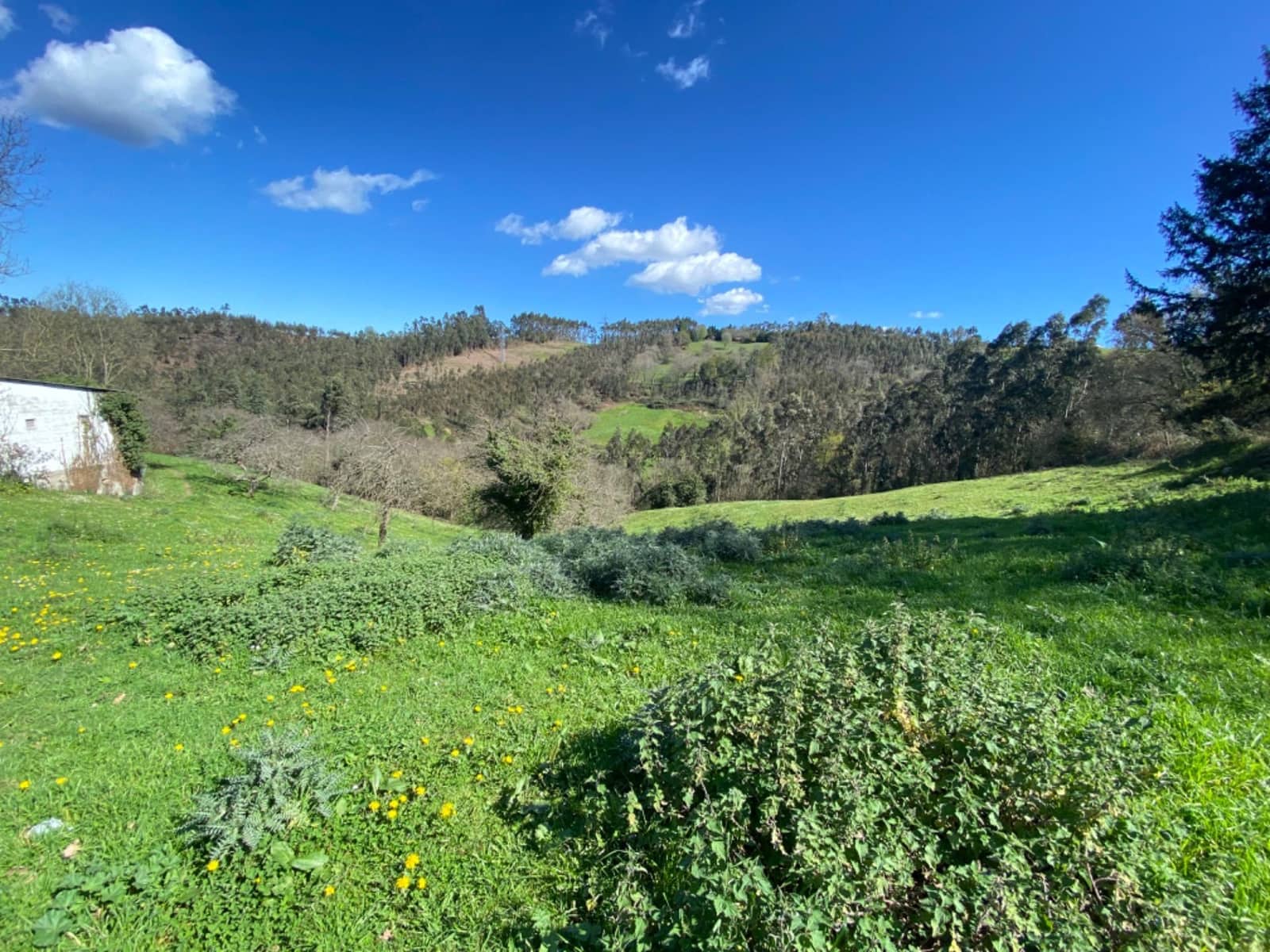 3 soveværelse Finca/Landehus til salg i Gijon - € 230.000 (Ref: 7963101)