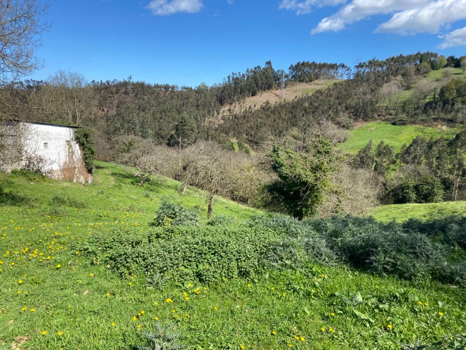 3 soveværelse Finca/Landehus til salg i Gijon - € 230.000 (Ref: 7963101)