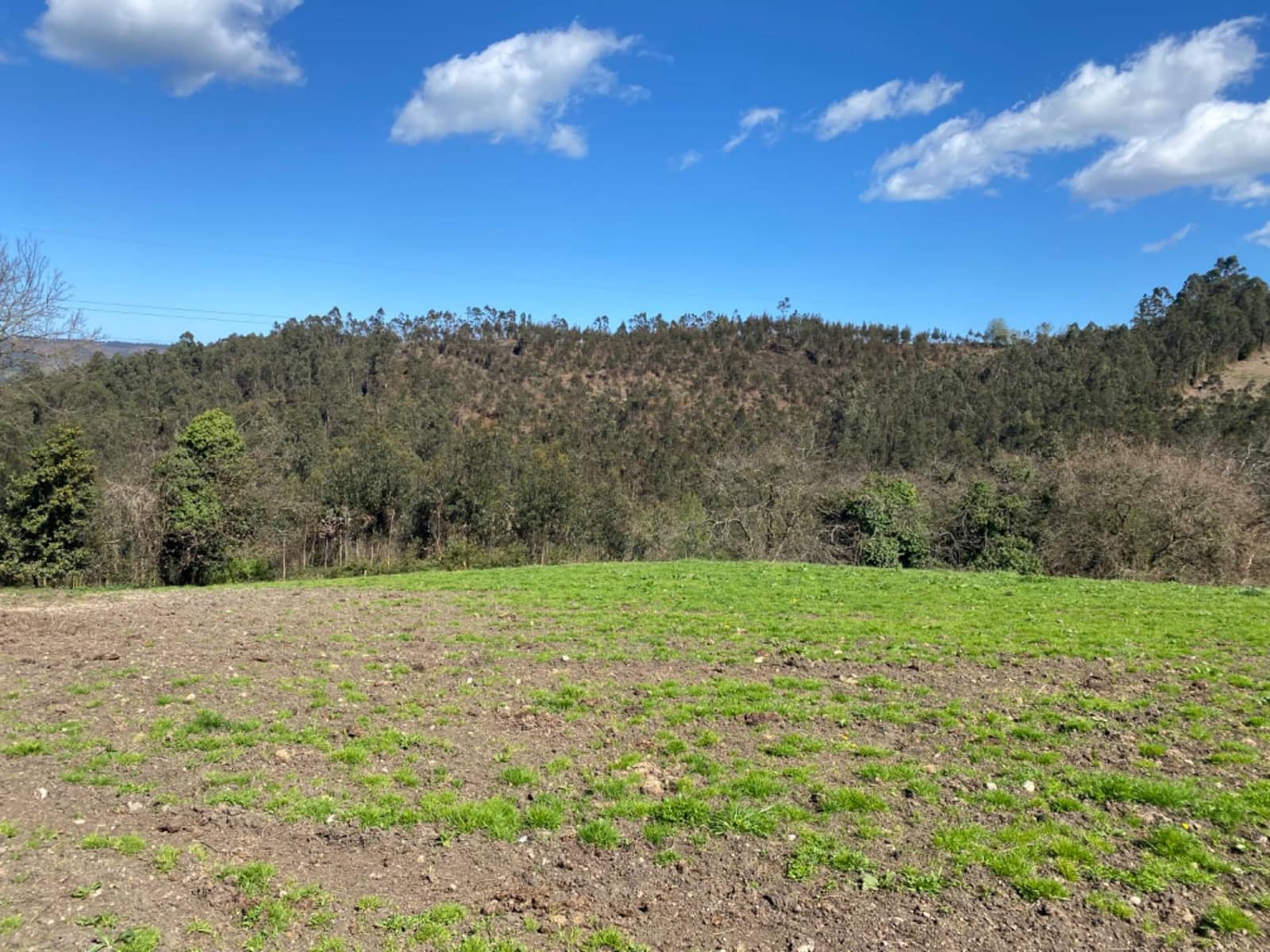 3 soveværelse Finca/Landehus til salg i Gijon - € 230.000 (Ref: 7963101)