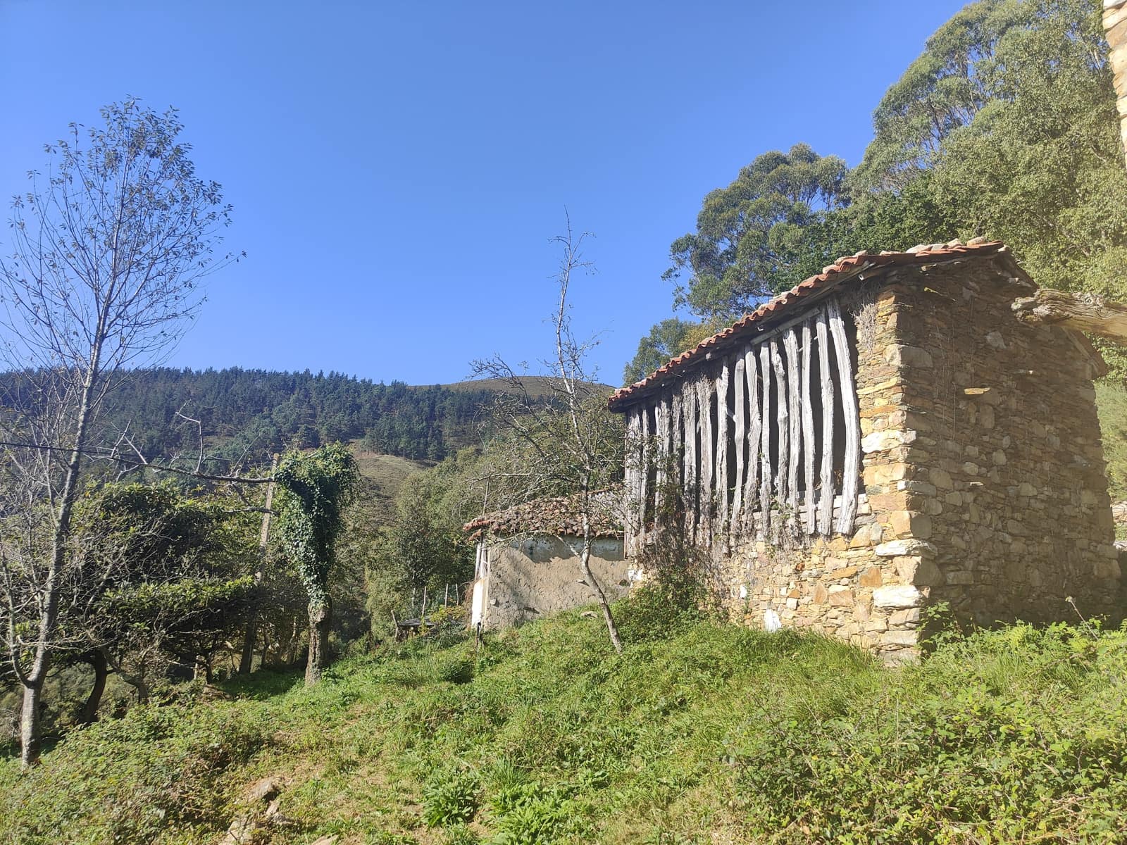2 slaapkamer Finca/Landhuis te koop in Cudillero - € 50.000 (Ref: 7982330)