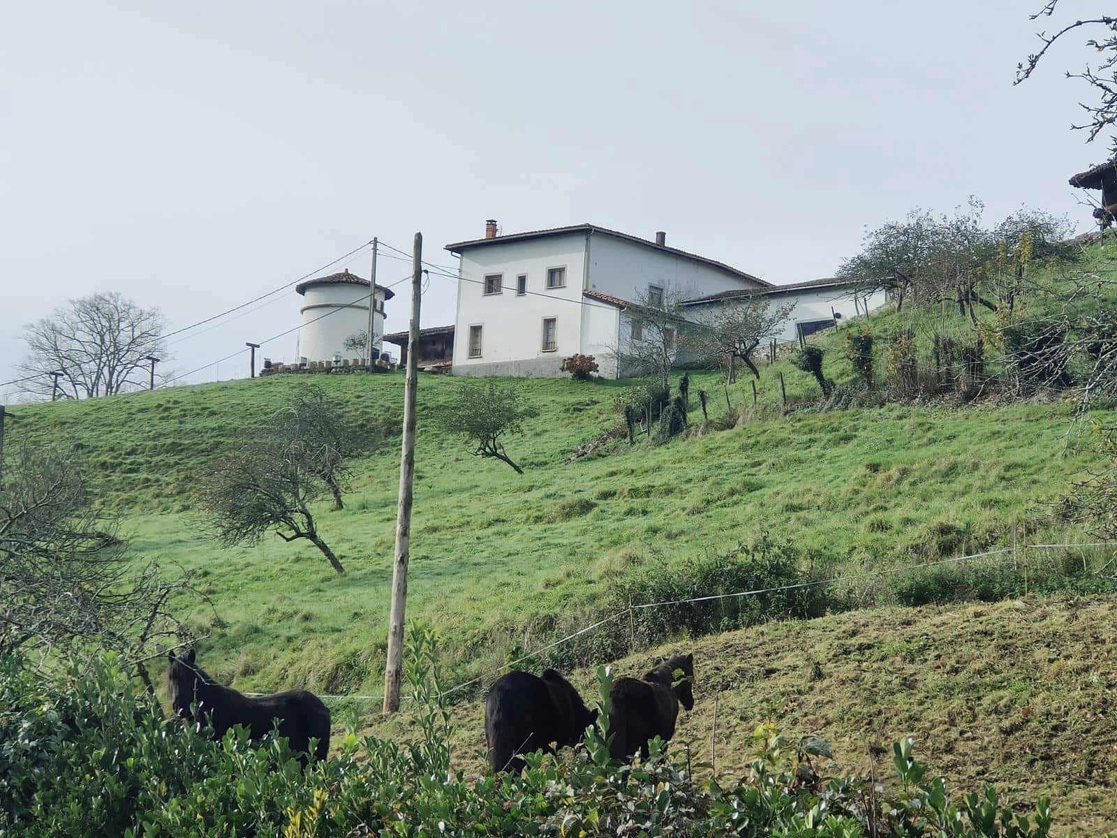 4 soveværelse Finca/Landehus til salg i Infiesto - € 285.000 (Ref: 8061290)