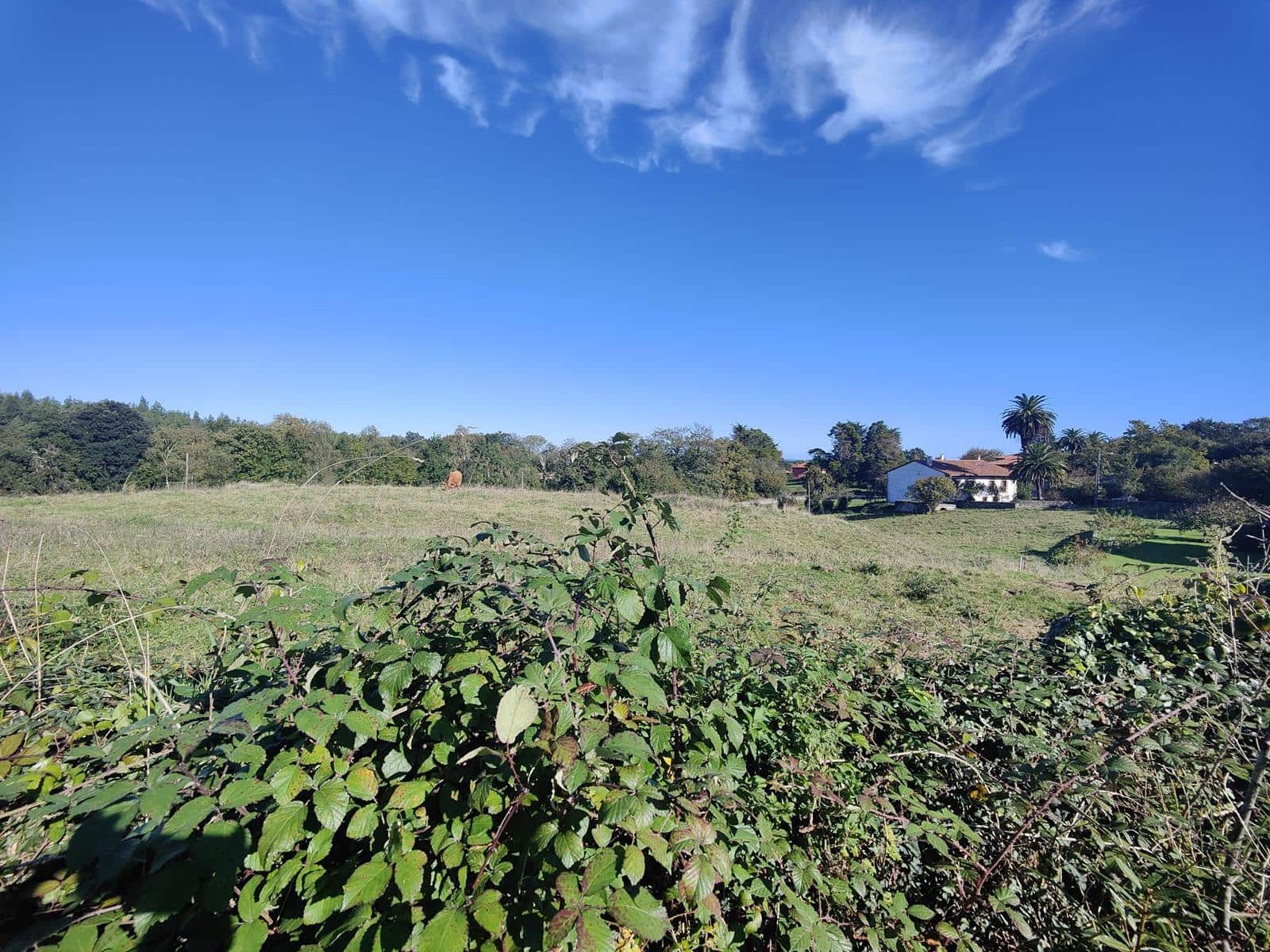 4 soveværelse Villa til salg i Llanes - € 650.000 (Ref: 8340001)