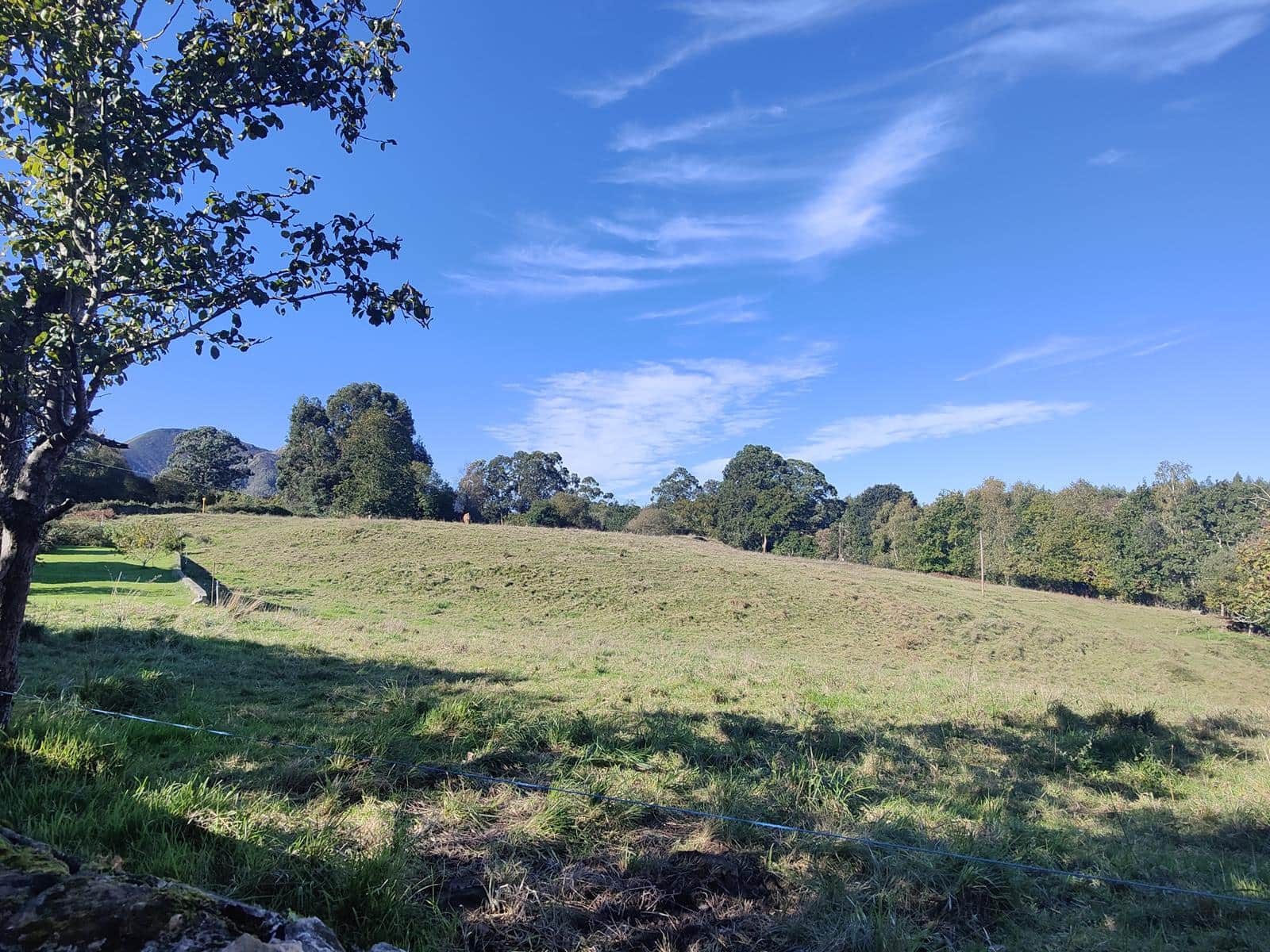 4 soveværelse Villa til salg i Llanes - € 650.000 (Ref: 8340001)