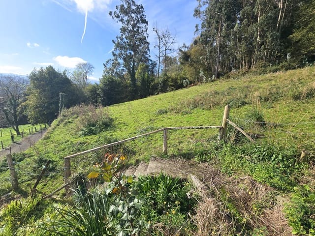 6 slaapkamer Halfvrijstaande villa te koop in Piloña met garage - € 250.000 (Ref: 8674653)