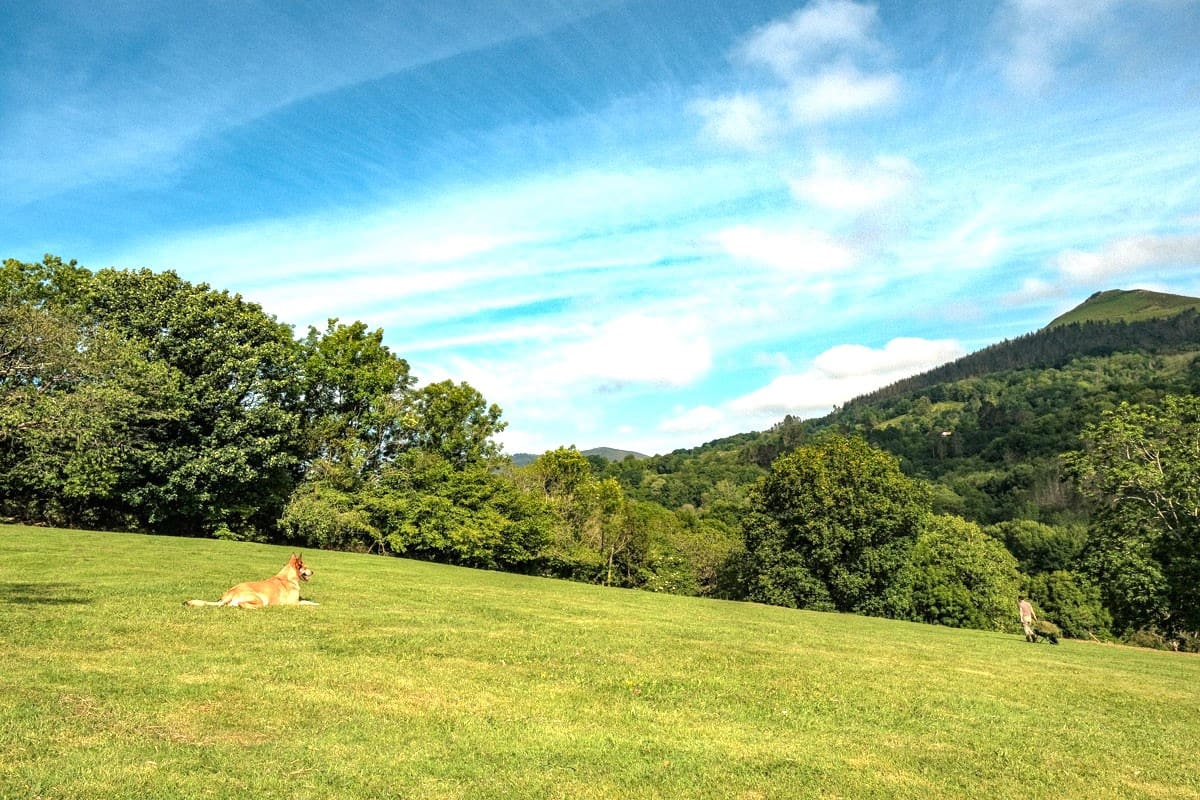 7 soveværelse Finca/Landehus til salg i Pilona - € 595.000 (Ref: 8862879)