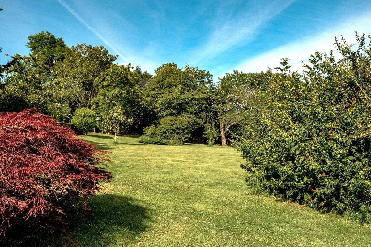 7 soveværelse Finca/Landehus til salg i Pilona - € 595.000 (Ref: 8862879)