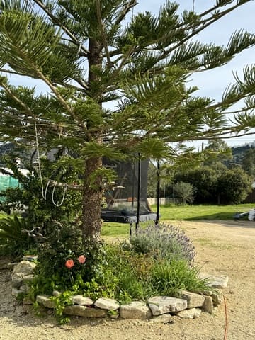 4 bedroom Finca/Country House for sale in Vejer de la Frontera - € 269,000 (Ref: 8546209)