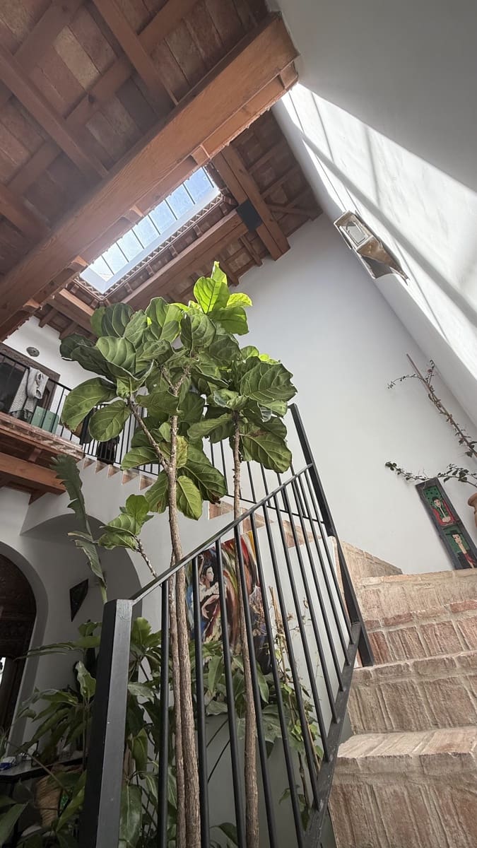 4 soverom Hus til salgs i Vejer de la Frontera - € 699 000 (Ref: 9166601)