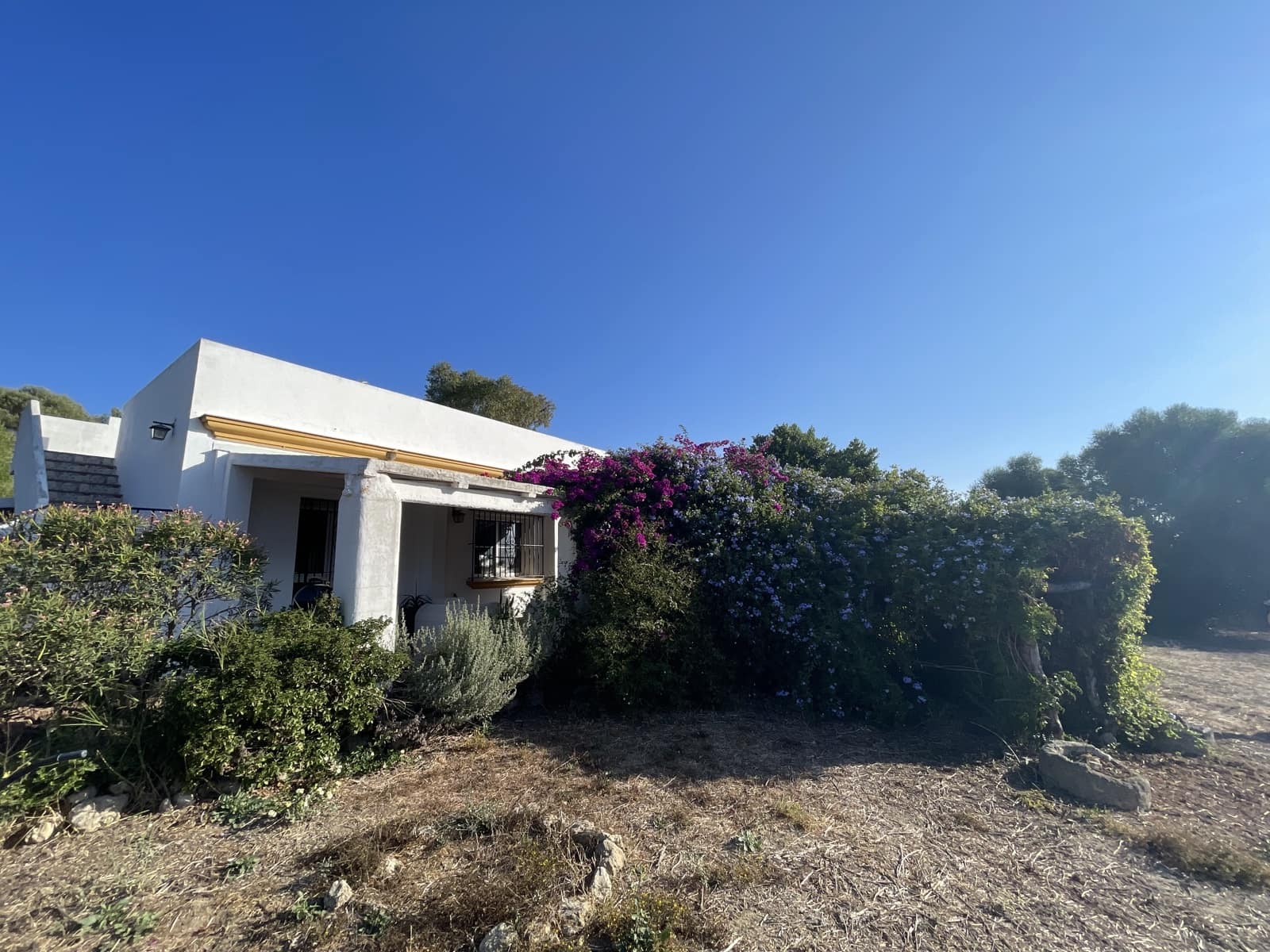 2 chambre Finca/Maison de Campagne à vendre à Vejer de la Frontera avec piscine - 380 000 € (Ref: 9314290)