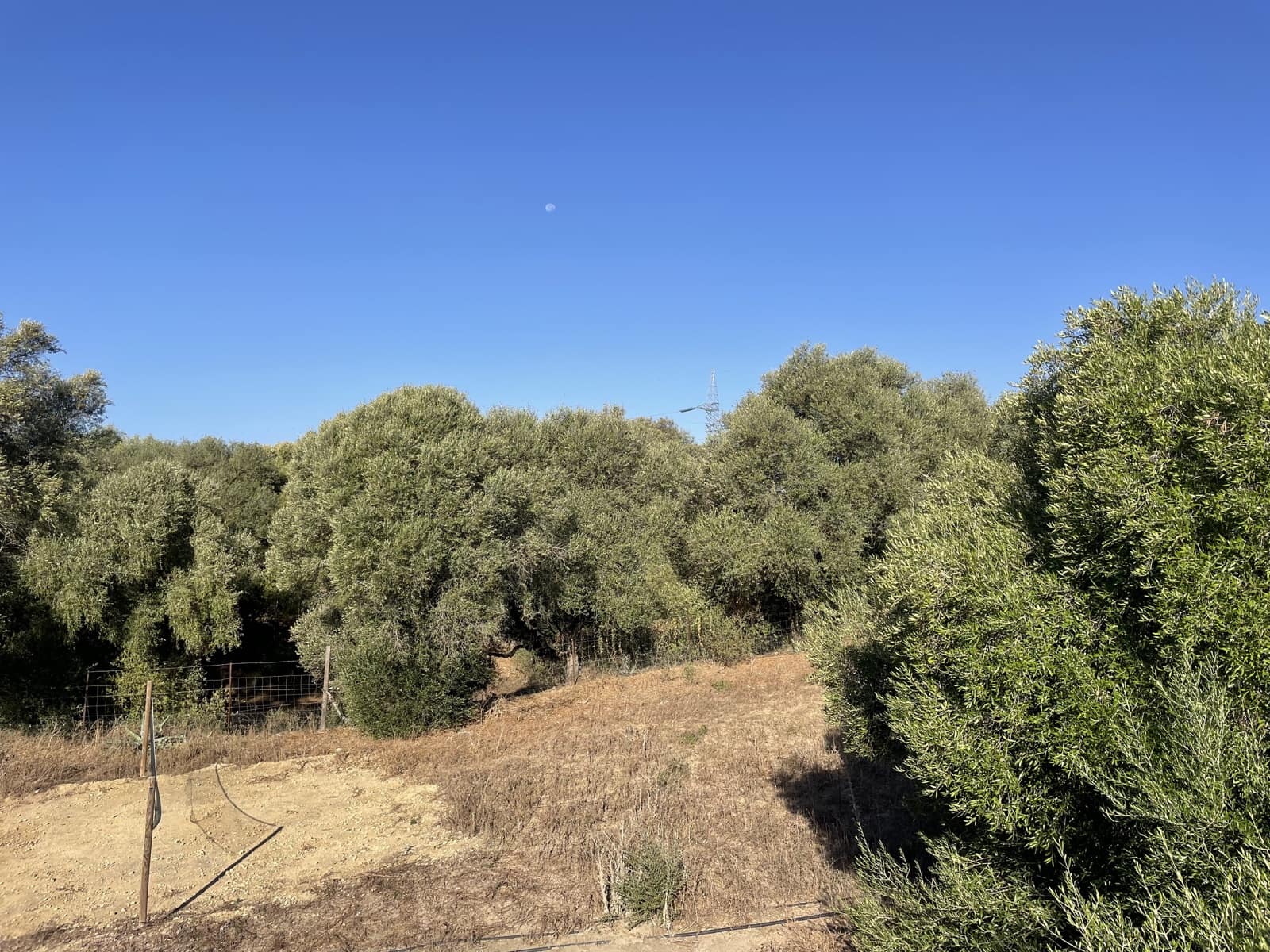 2 chambre Finca/Maison de Campagne à vendre à Vejer de la Frontera avec piscine - 380 000 € (Ref: 9314290)