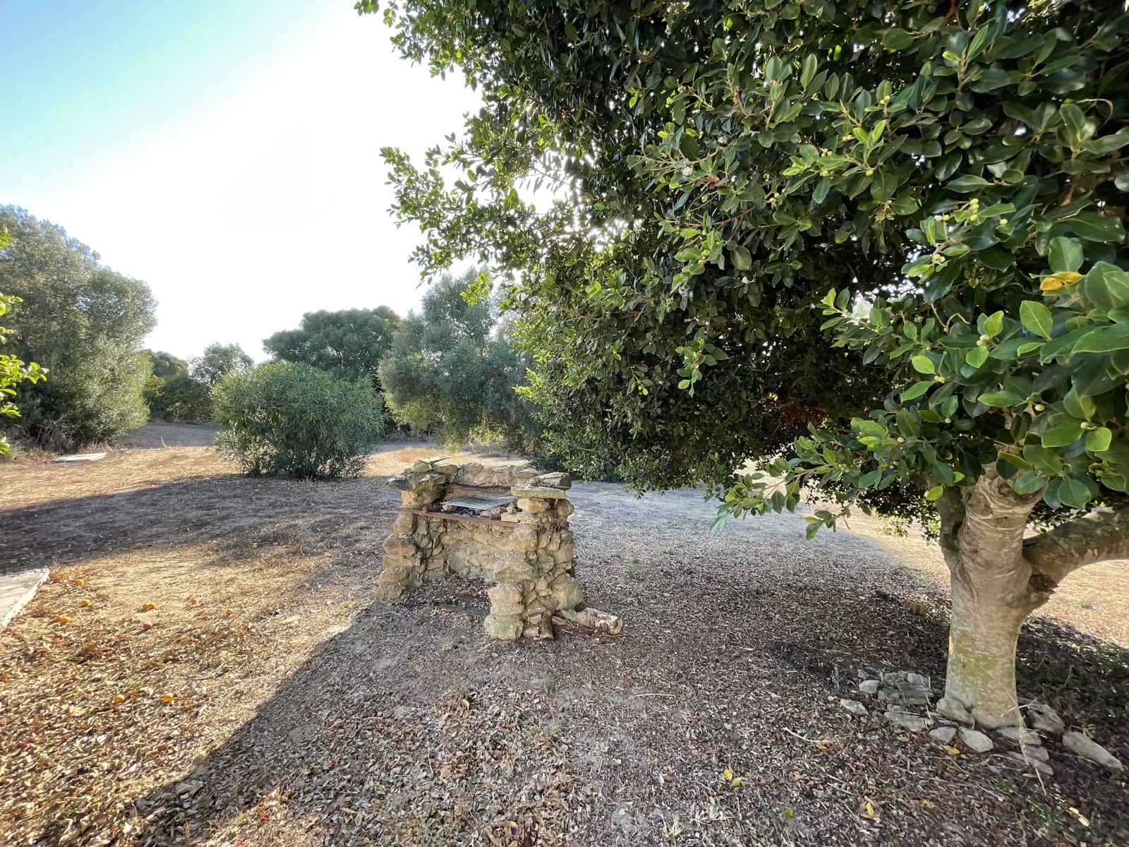 2 chambre Finca/Maison de Campagne à vendre à Vejer de la Frontera avec piscine - 380 000 € (Ref: 9314290)