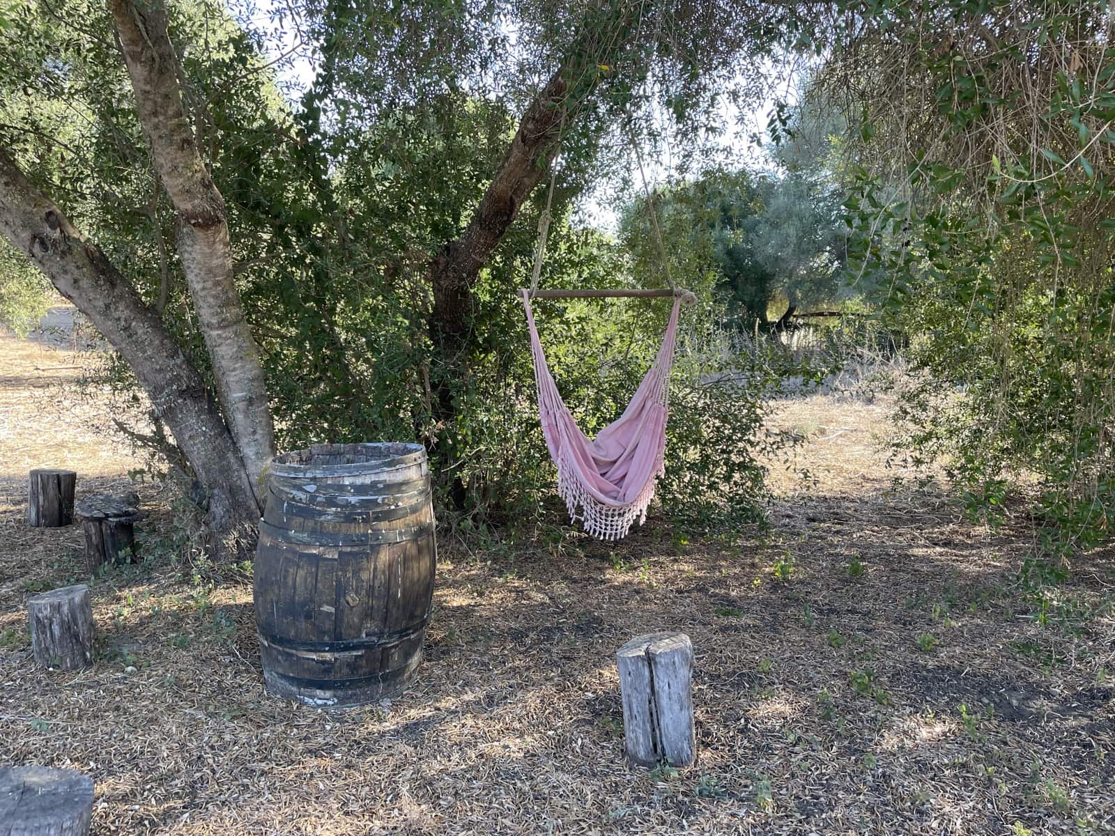 2 chambre Finca/Maison de Campagne à vendre à Vejer de la Frontera avec piscine - 380 000 € (Ref: 9314290)