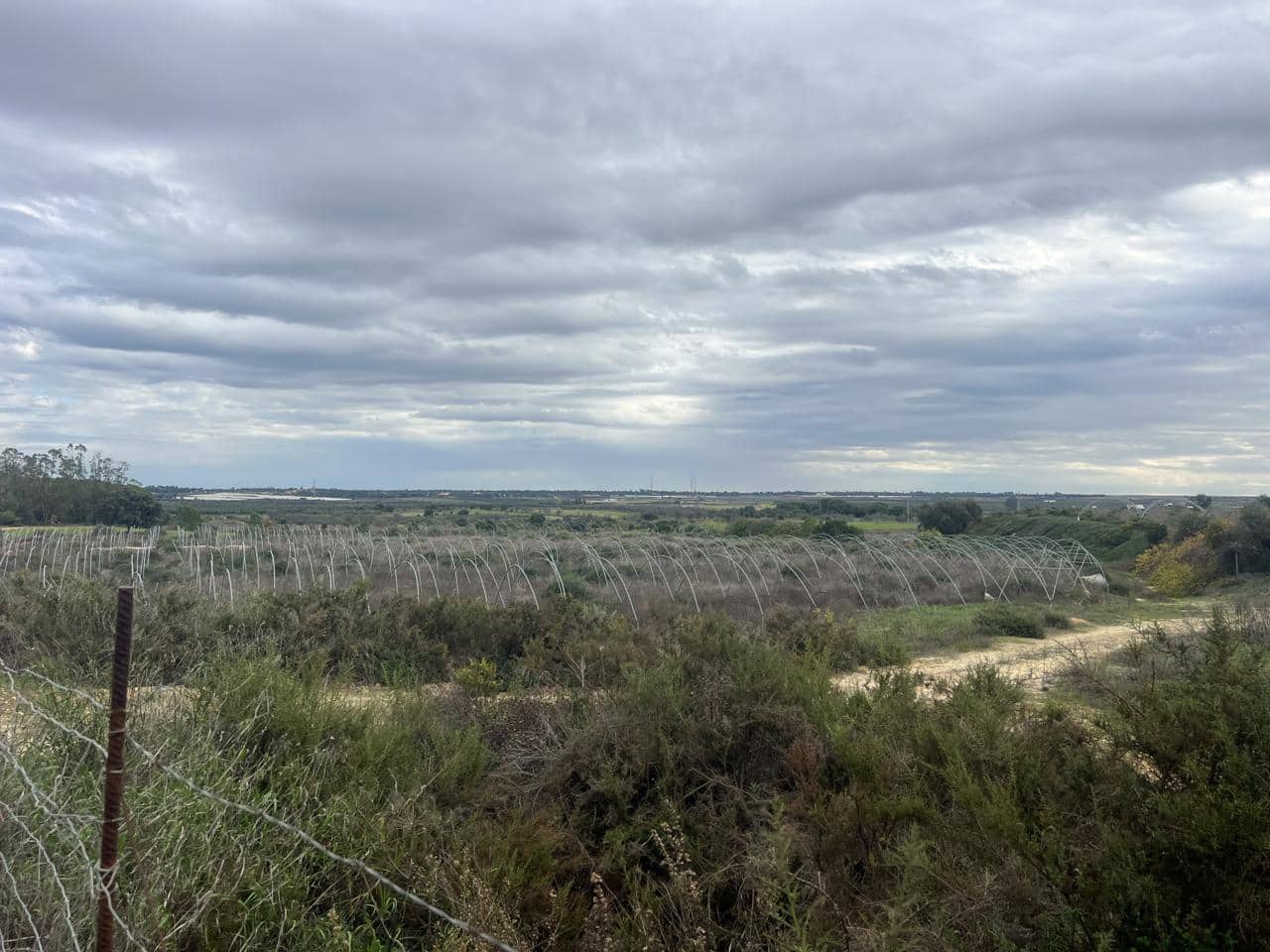 Teren niezagospodarowany na sprzedaż w Niebla - 10 100 € (Ref: 9394133)