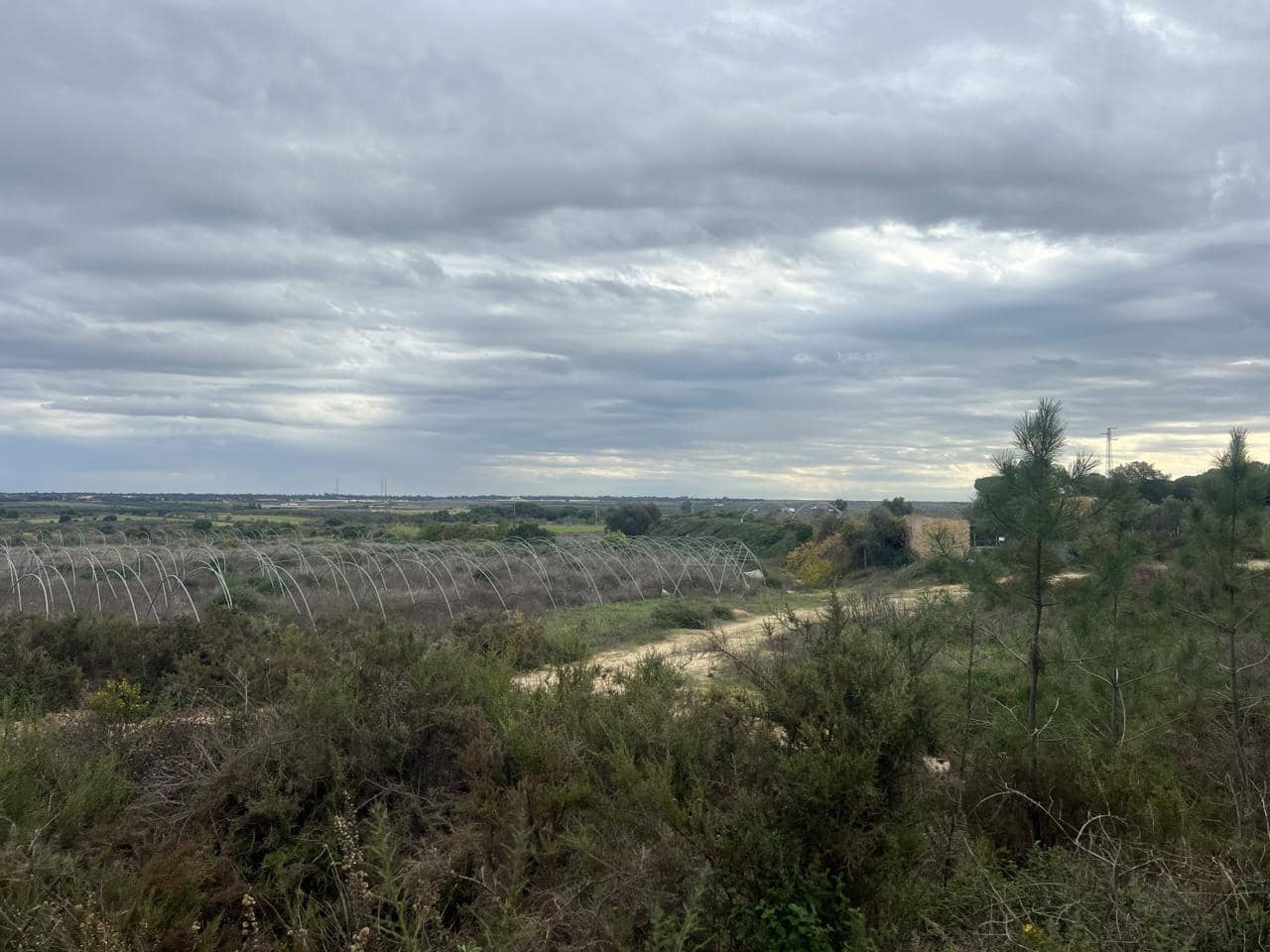 Teren niezagospodarowany na sprzedaż w Niebla - 10 100 € (Ref: 9394133)