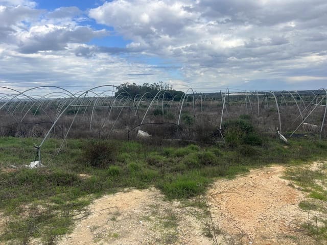 Grond te koop in Niebla - € 10.100 (Ref: 9394133)