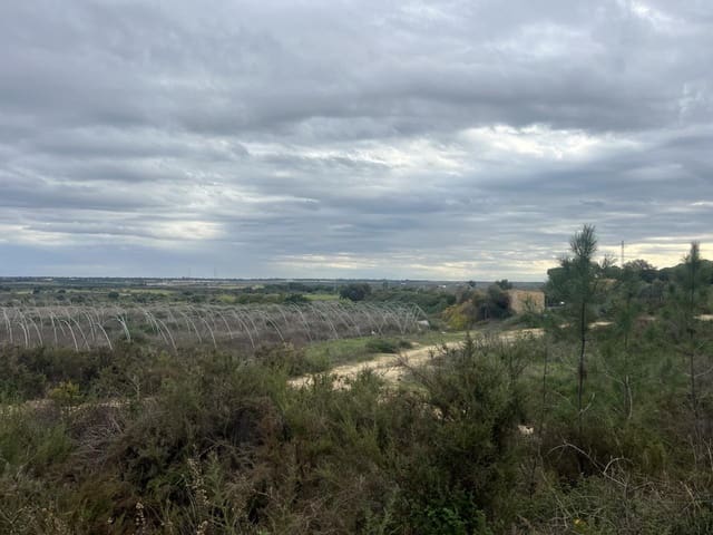 Grond te koop in Niebla - € 10.100 (Ref: 9394133)