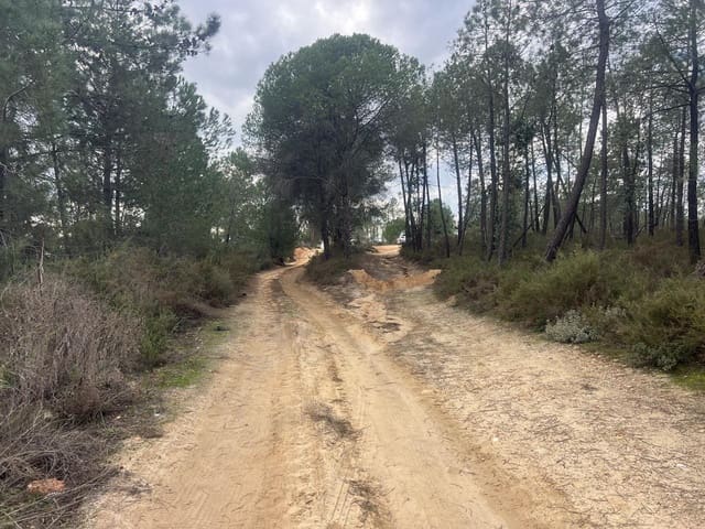 Grond te koop in Niebla - € 10.100 (Ref: 9394133)