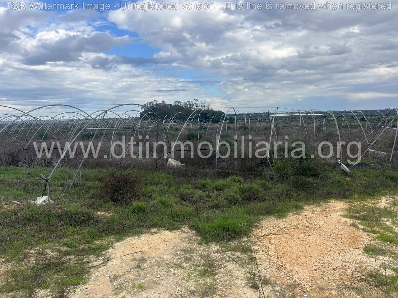 Grond te koop in Niebla - € 10.100 (Ref: 9394184)