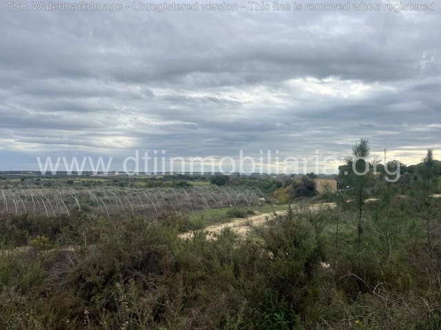 Grond te koop in Niebla - € 10.100 (Ref: 9394184)