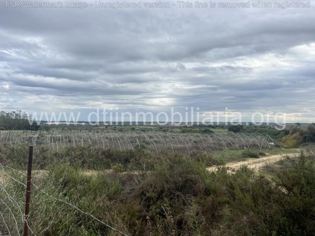 Grond te koop in Niebla - € 10.100 (Ref: 9394184)