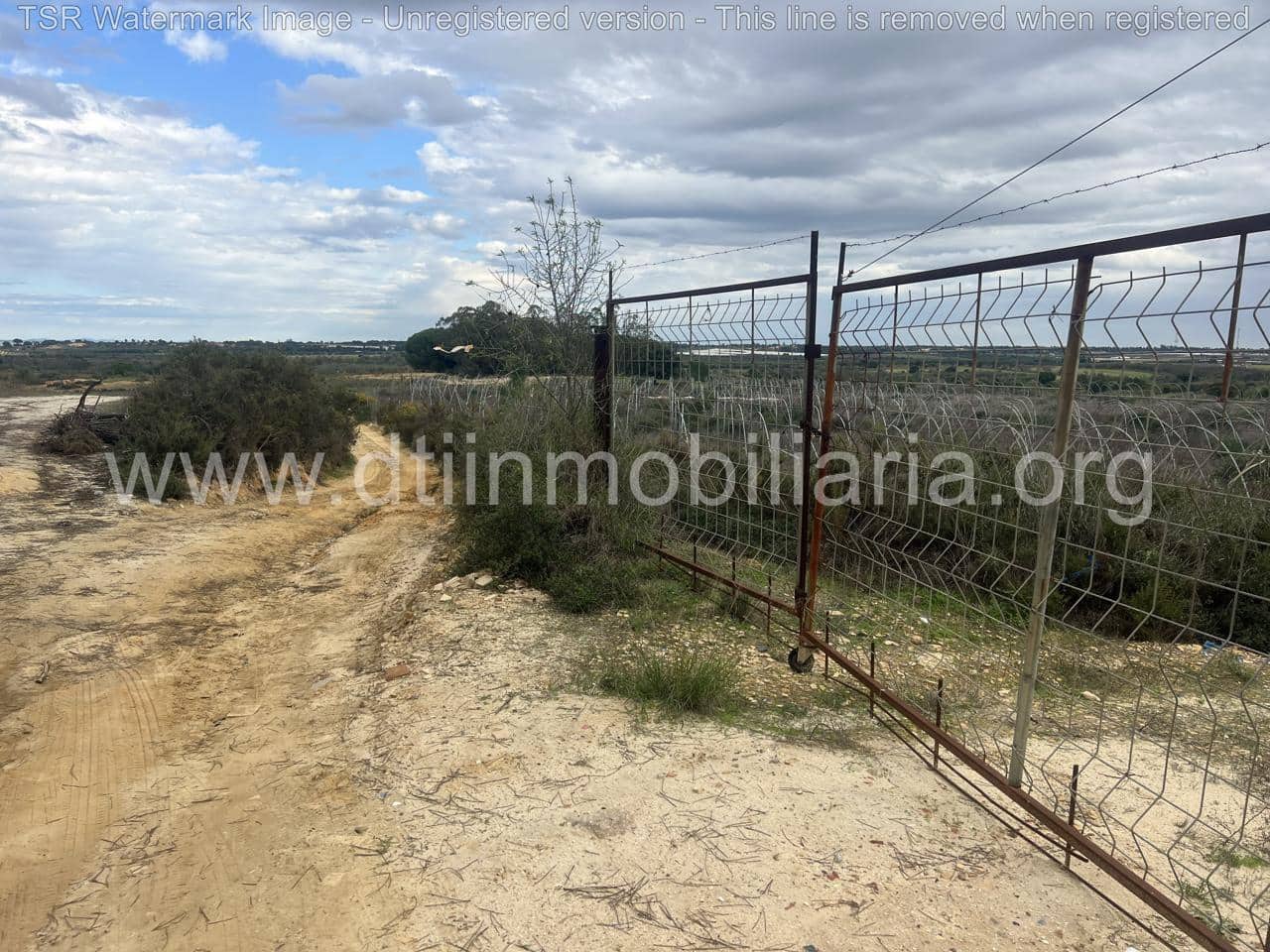 Grond te koop in Niebla - € 10.100 (Ref: 9394184)