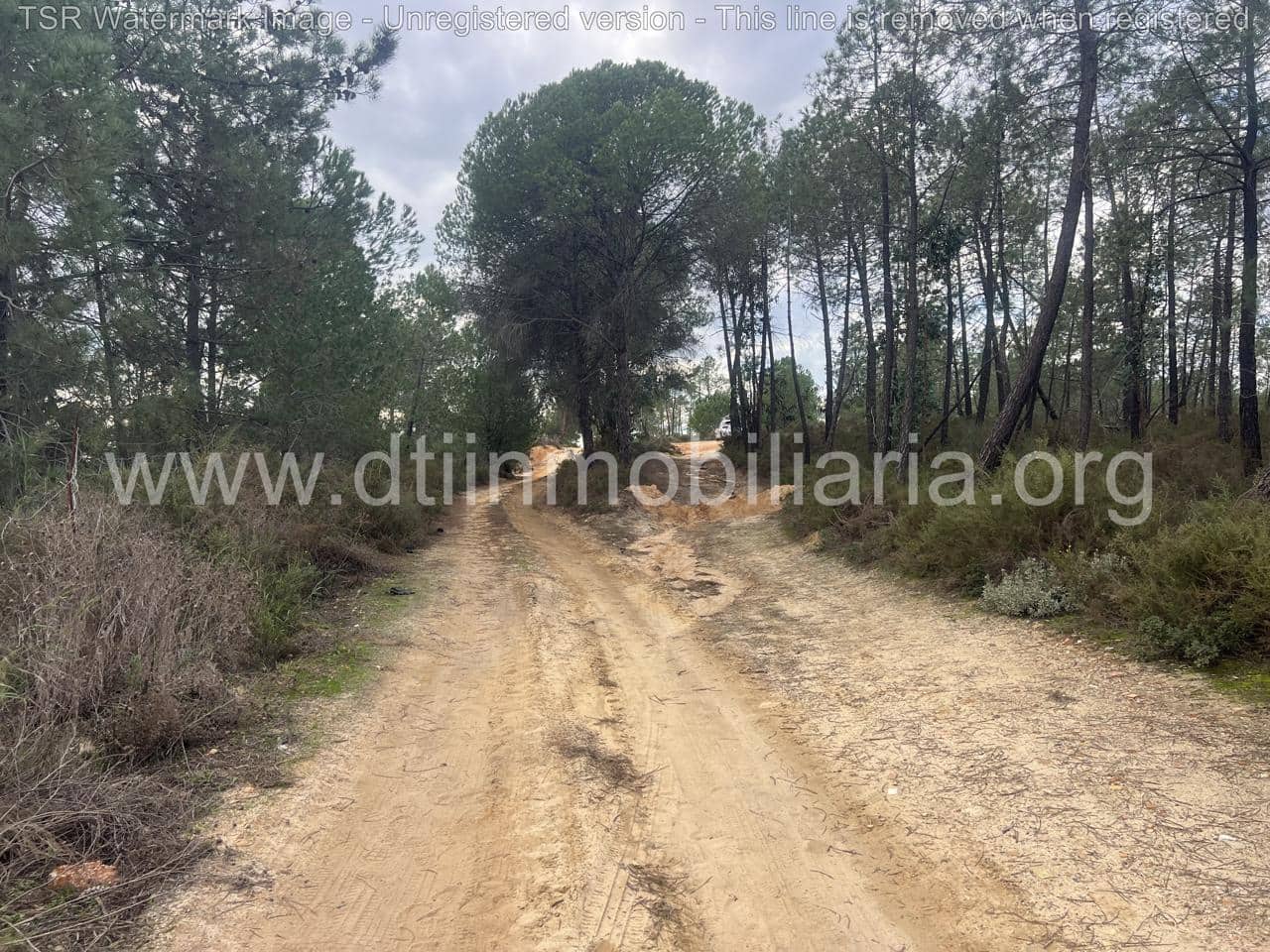 Grond te koop in Niebla - € 10.100 (Ref: 9394184)